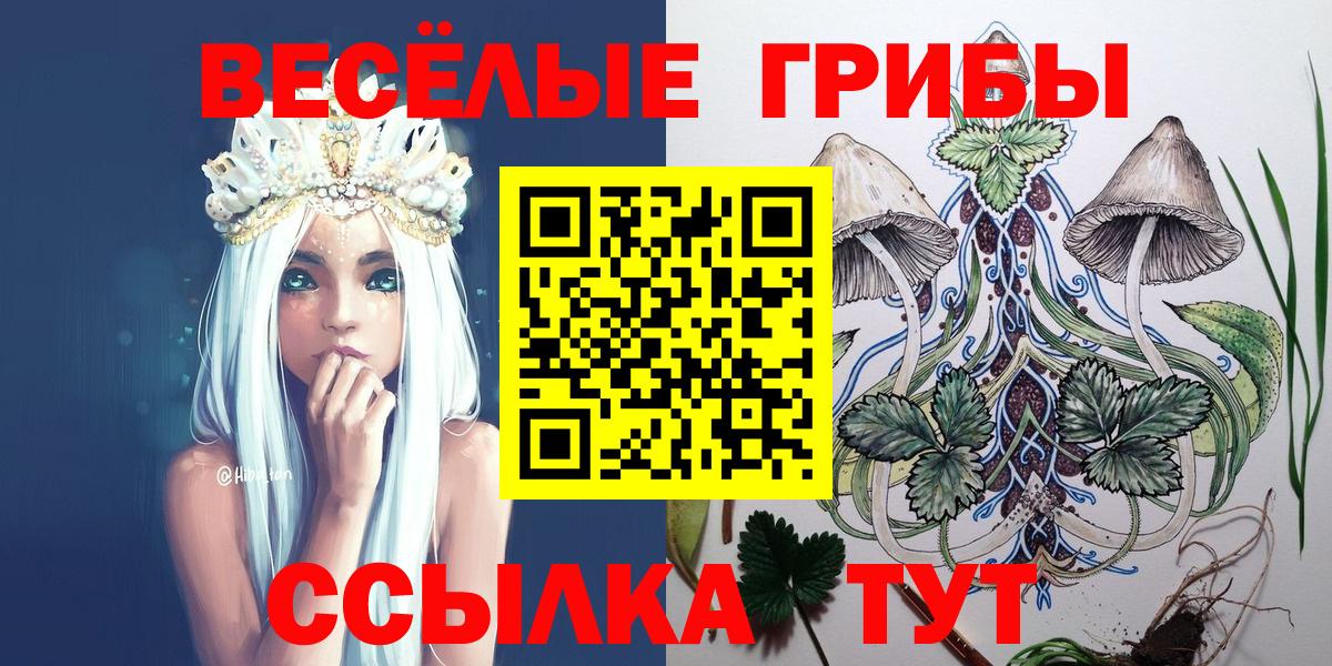 Псилоцибиновые грибы Psilocybe  купить  сайты  Вход с VPN  Чистополь  Галлюциногенные грибы MAGIC MUSHROOMS 