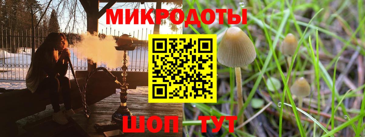 Псилоцибиновые грибы Cubensis Чистополь